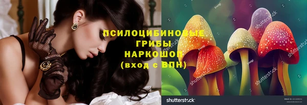 мдпв Володарск
