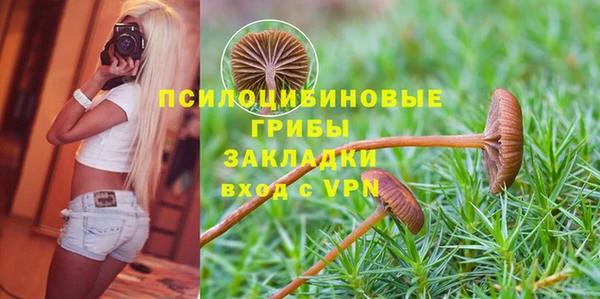 гашишное масло Горняк