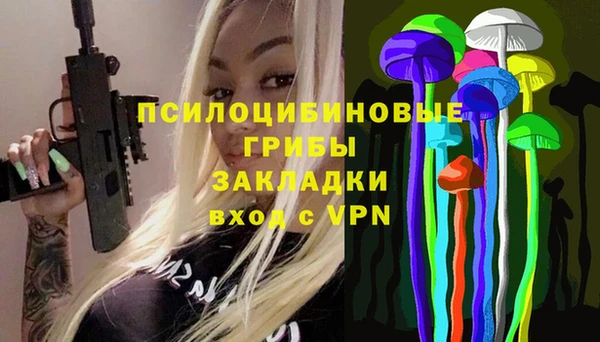 мдпв Володарск