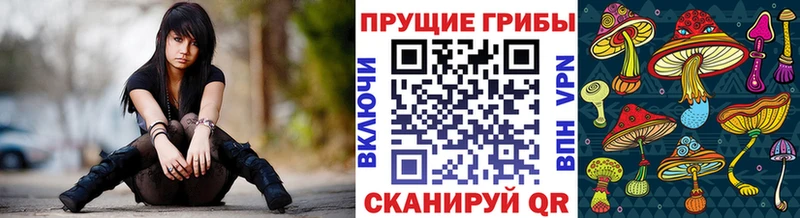 купить наркоту  Велиж  Псилоцибиновые грибы ЛСД 